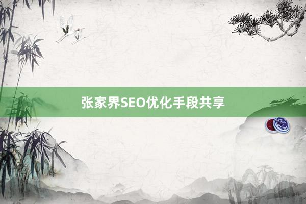 张家界SEO优化手段共享