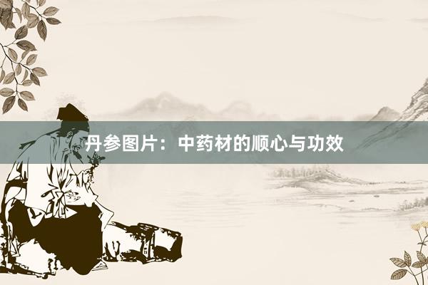 丹参图片:中药材的顺心与功效
