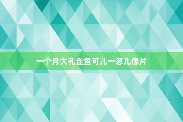 一个月大孔雀鱼可儿一忽儿像片
